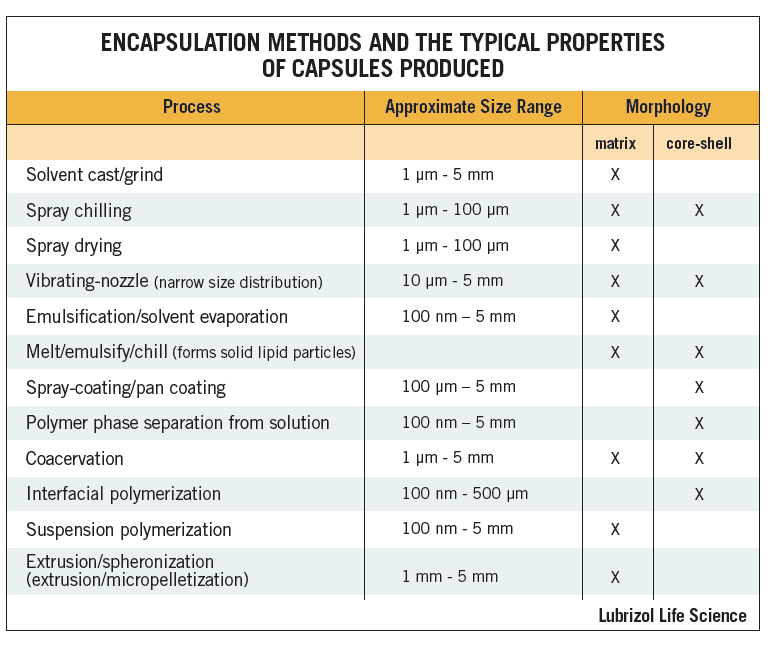 Encapsulation Methods And Properties Of Capsules | Agno Pharmaceuticals