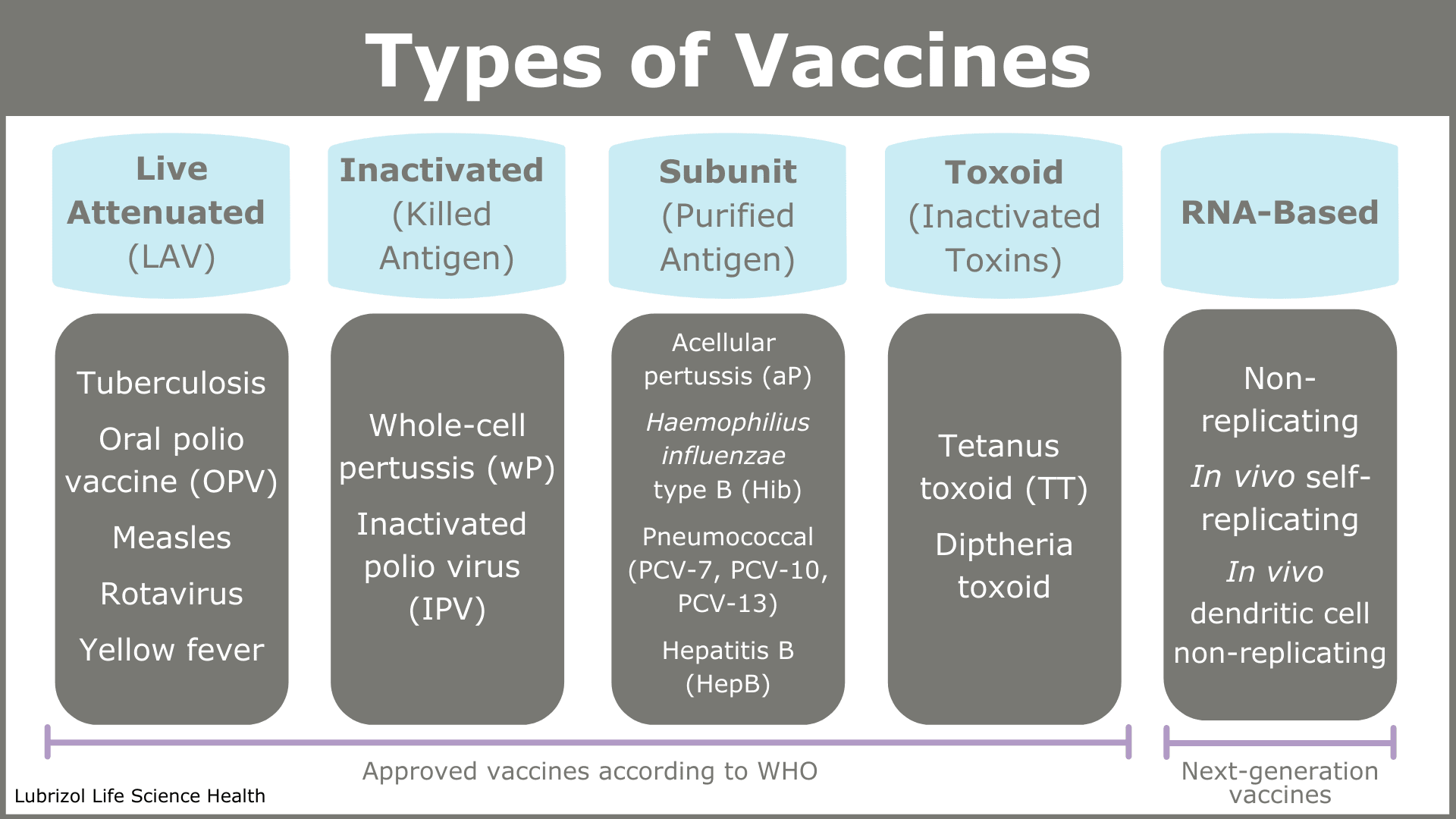 A Guide To Vaccine Development & Immunization | Agno Pharmaceuticals